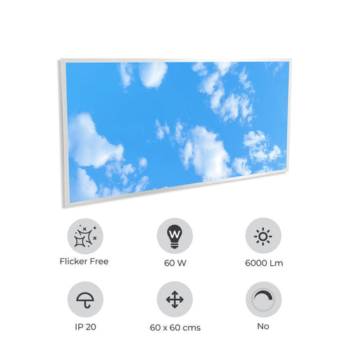 1195x595mm size LED Backlit Panel with 2D Sky Picture 60W
