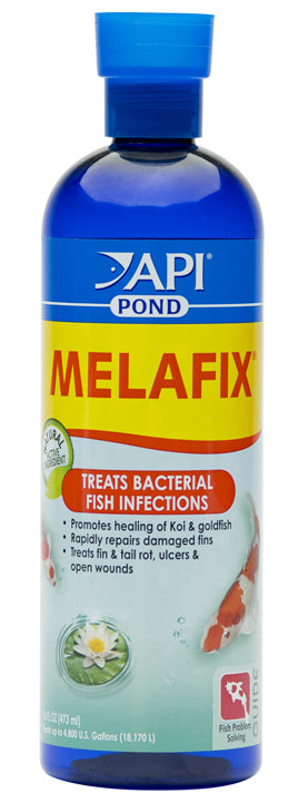 API Pond Melafix