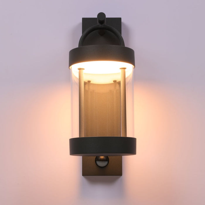 Cassian LED Outdoor Lantern Wall Light 8W 3000K Dark Grey