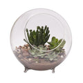 Large Sphere Terrarium