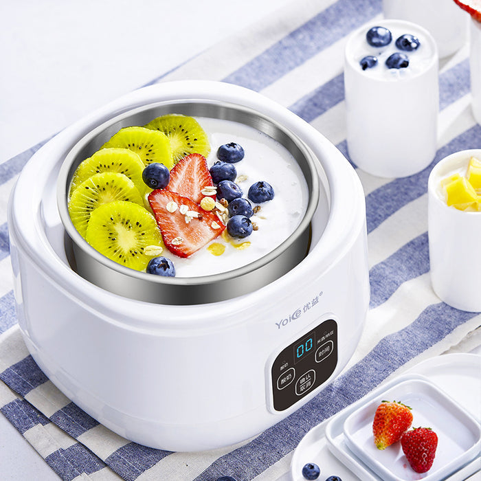Mini Yogurt Maker - Small Fermentation Machine for Yogurt & Natto
