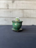 Pot, Bruning