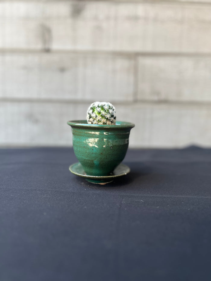 Pot, Bruning