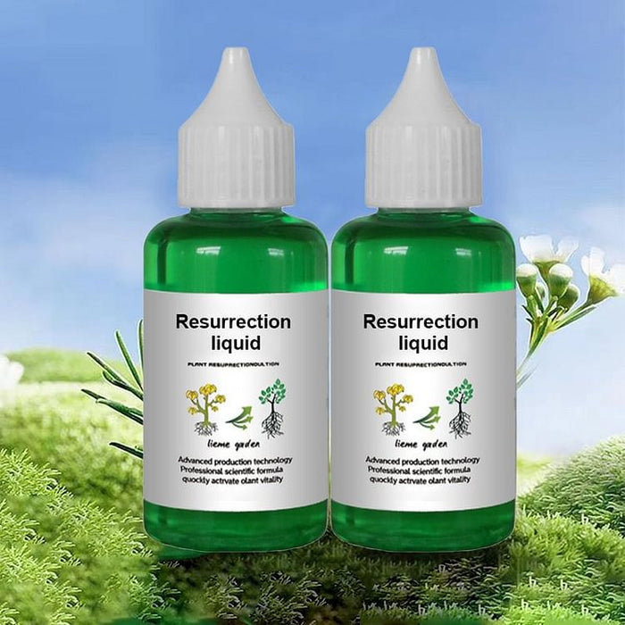 Rapid Root Growth Fertilizer | Plant Nutrient Solution 50ml