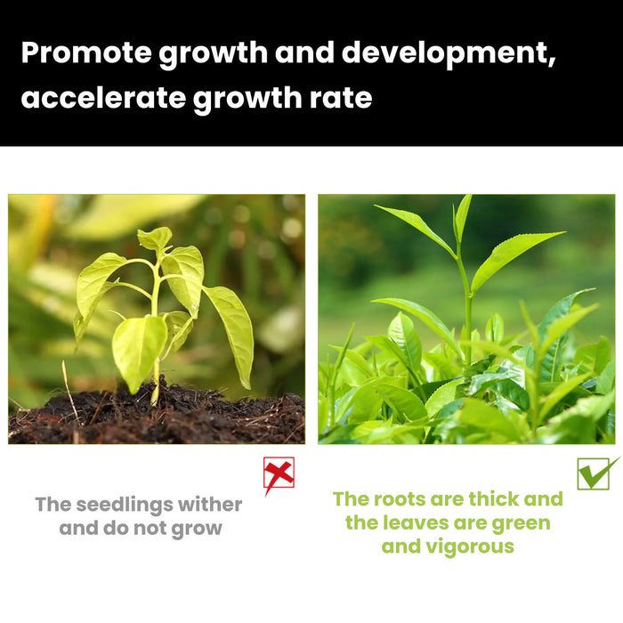 Rapid Root Growth Fertilizer | Plant Nutrient Solution 50ml