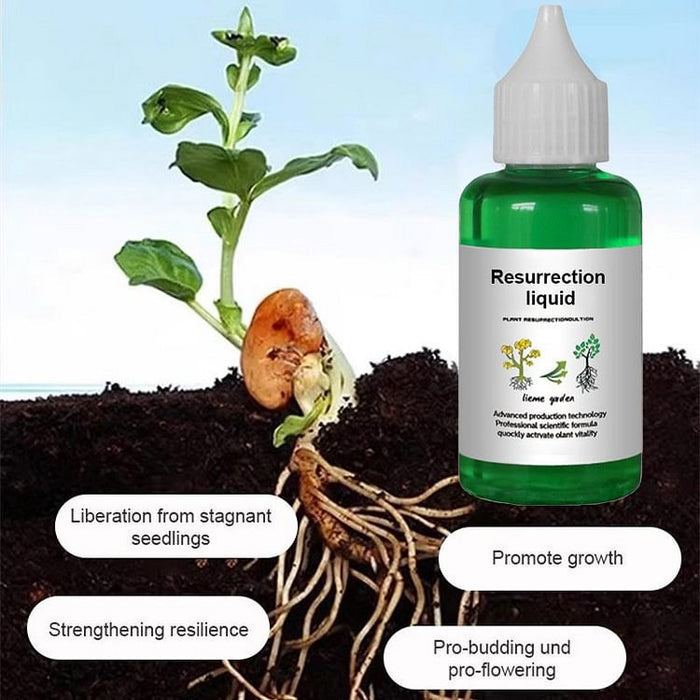 Rapid Root Growth Fertilizer | Plant Nutrient Solution 50ml