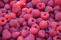 Raspberry Crimson Night