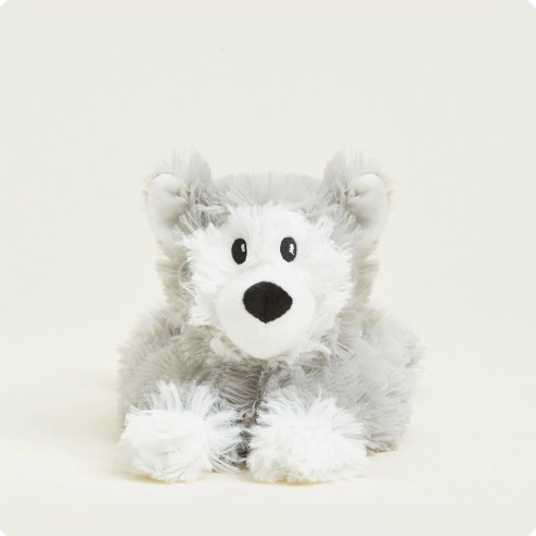 Dog - Husky