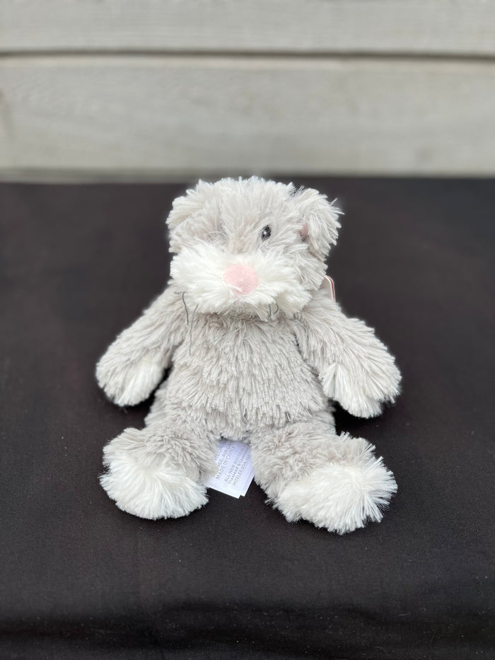 Cat - Gray